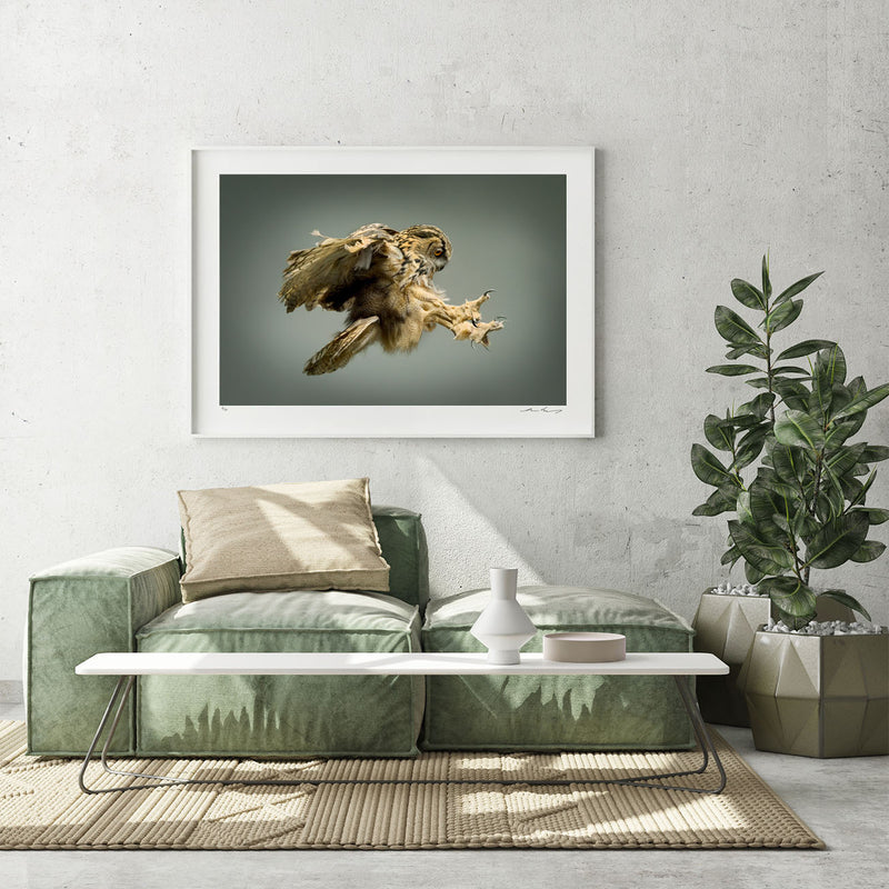 Eagle Owl - The Hunter